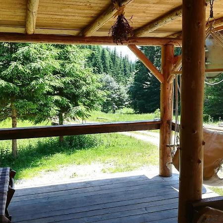 Cabana Pietricica Dîmbovicioara エクステリア 写真