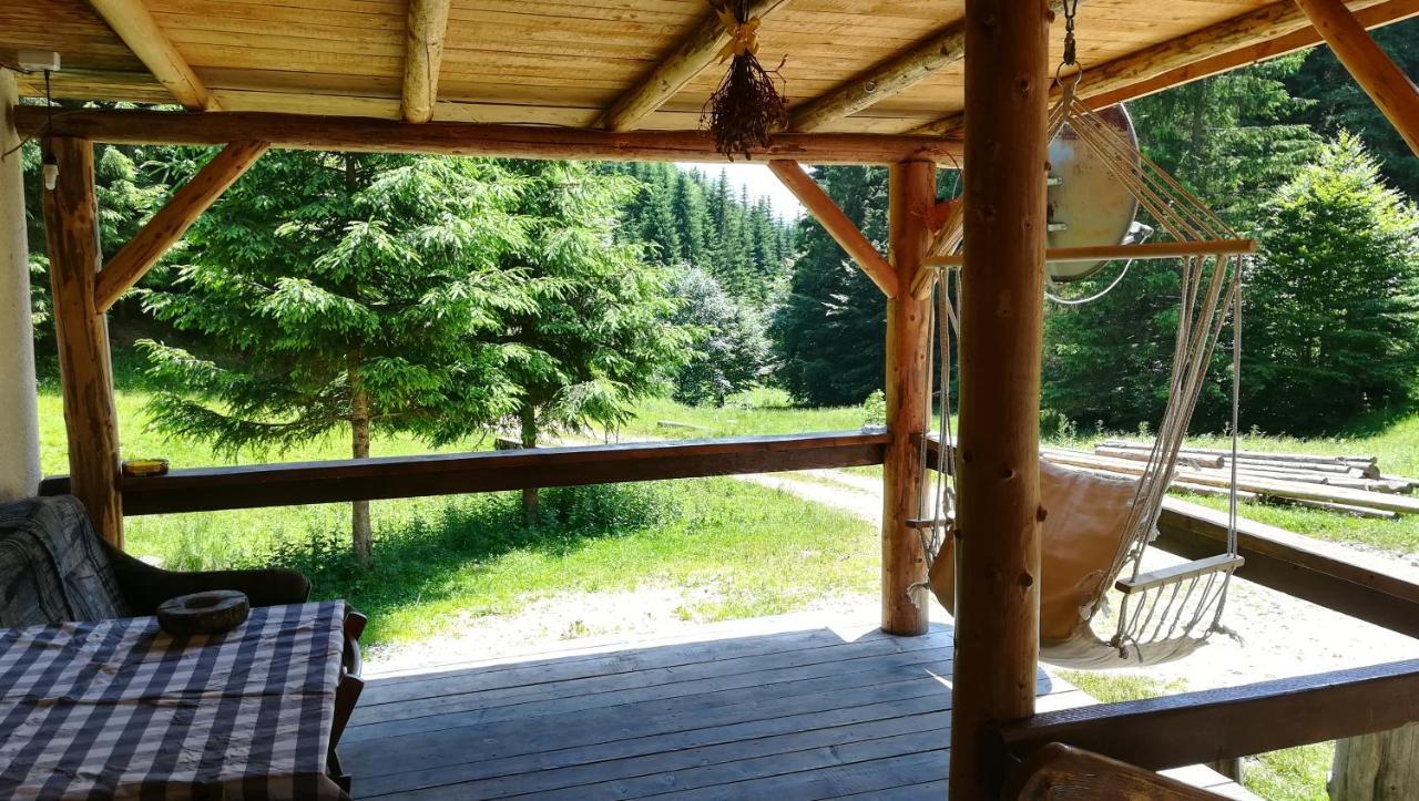 Cabana Pietricica Dîmbovicioara エクステリア 写真