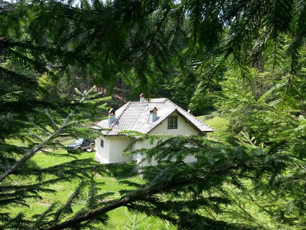 Cabana Pietricica Dîmbovicioara エクステリア 写真