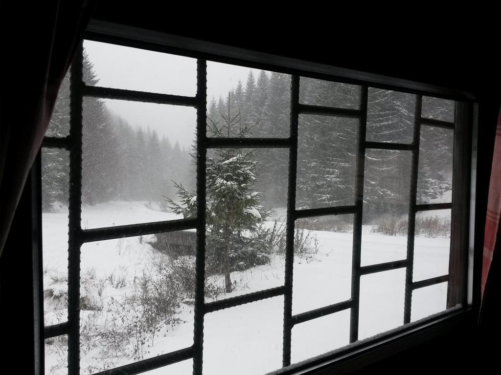 Cabana Pietricica Dîmbovicioara エクステリア 写真