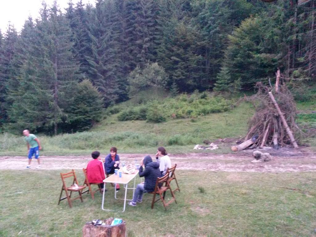 Cabana Pietricica Dîmbovicioara エクステリア 写真