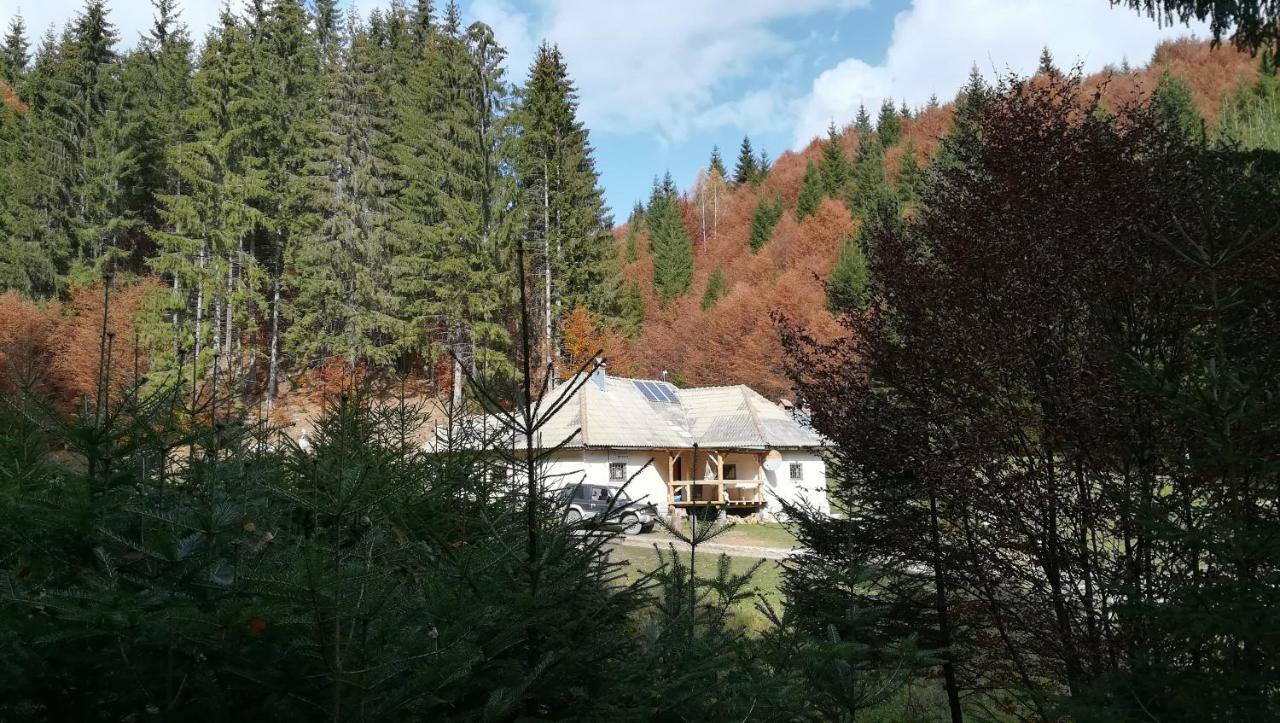 Cabana Pietricica Dîmbovicioara エクステリア 写真