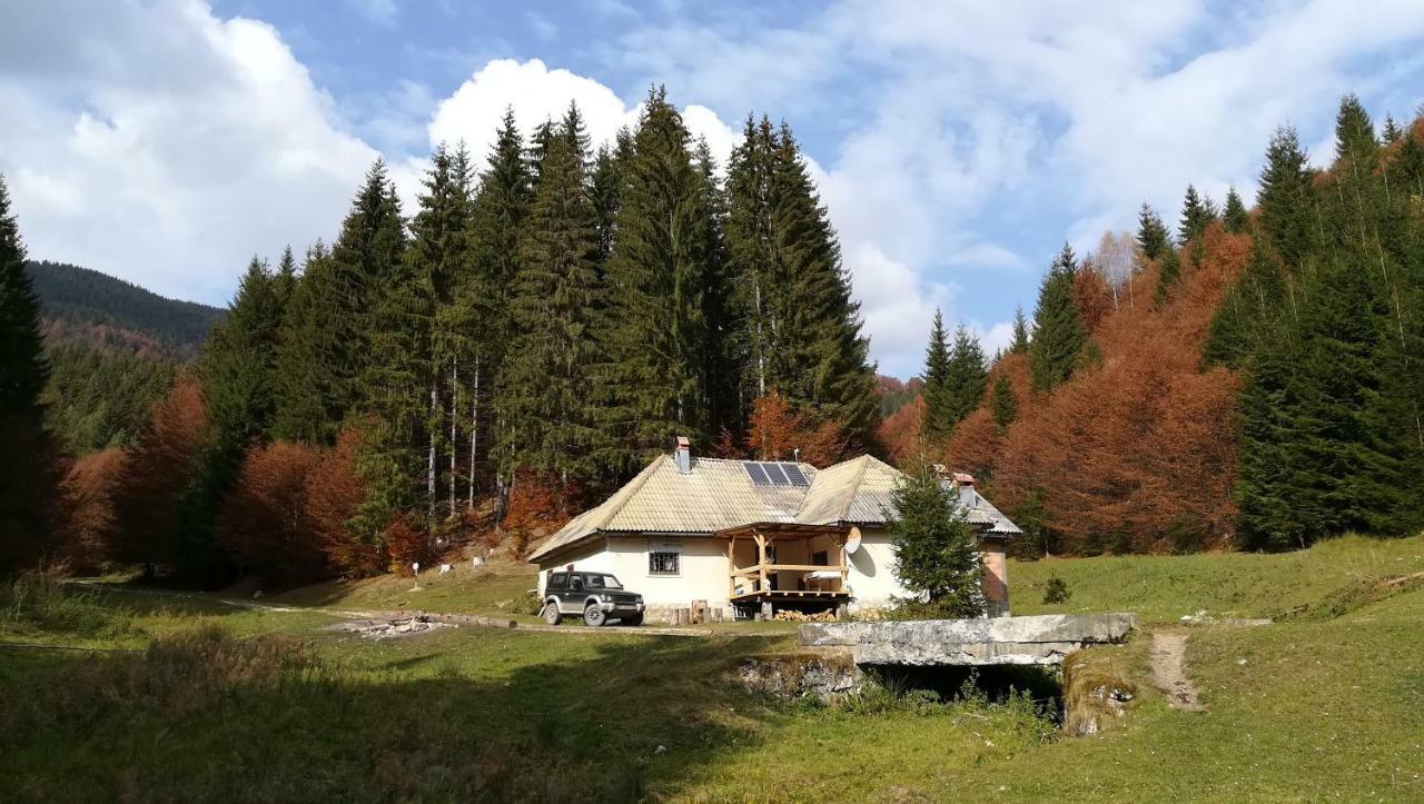 Cabana Pietricica Dîmbovicioara エクステリア 写真
