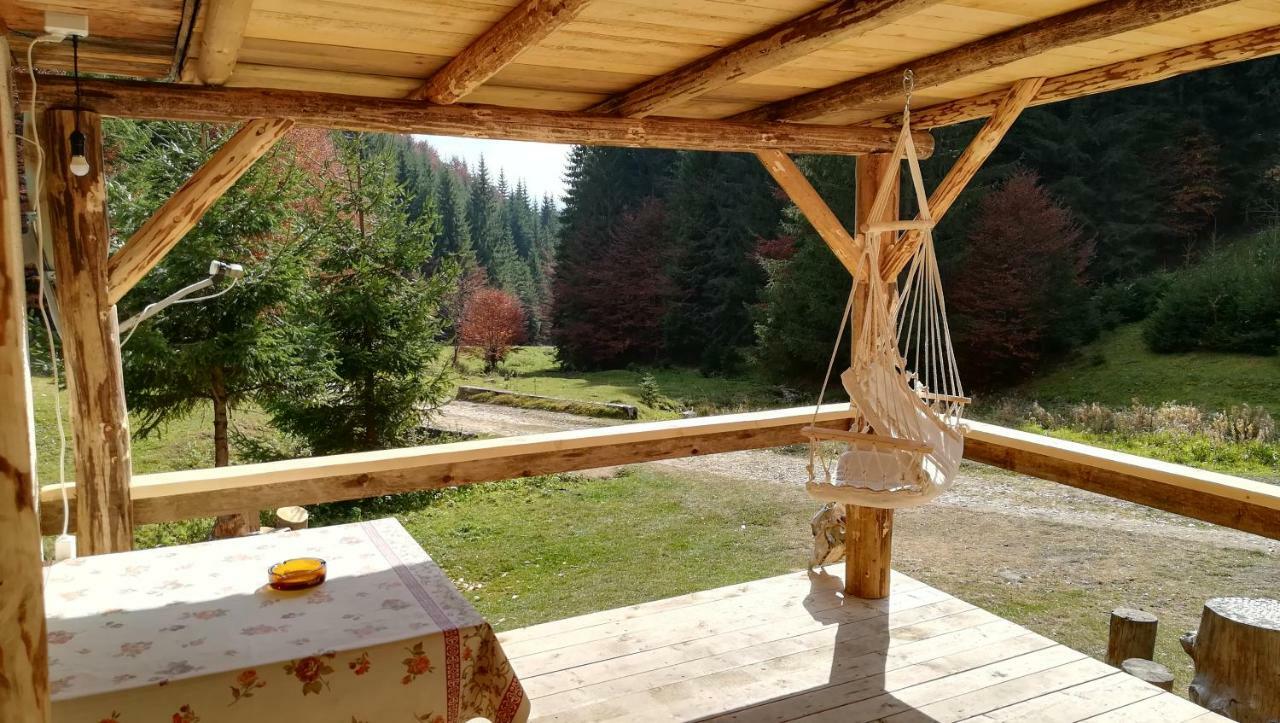 Cabana Pietricica Dîmbovicioara エクステリア 写真