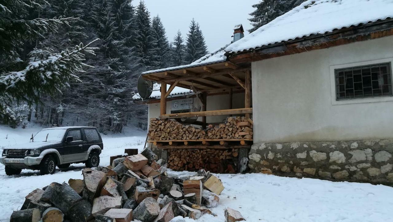 Cabana Pietricica Dîmbovicioara エクステリア 写真
