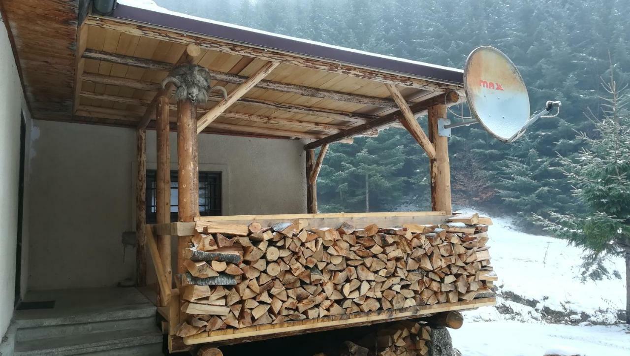 Cabana Pietricica Dîmbovicioara エクステリア 写真
