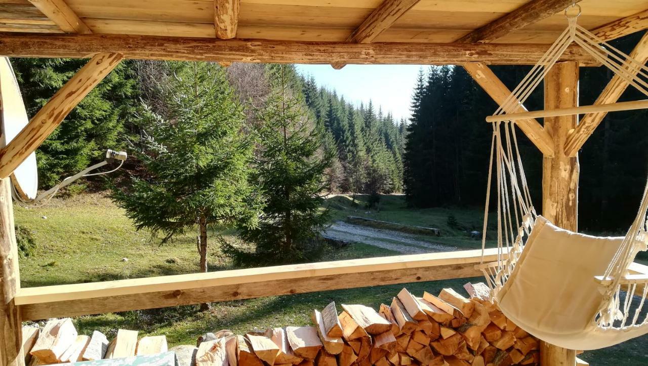 Cabana Pietricica Dîmbovicioara エクステリア 写真