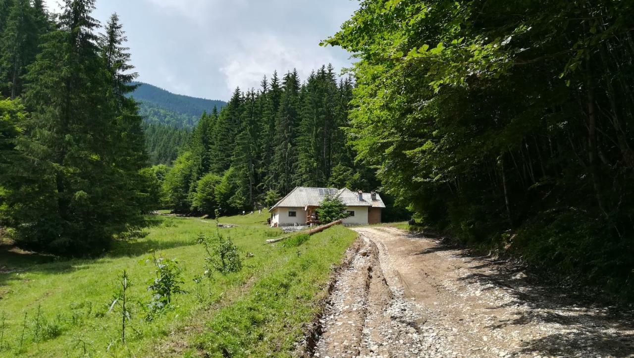 Cabana Pietricica Dîmbovicioara エクステリア 写真