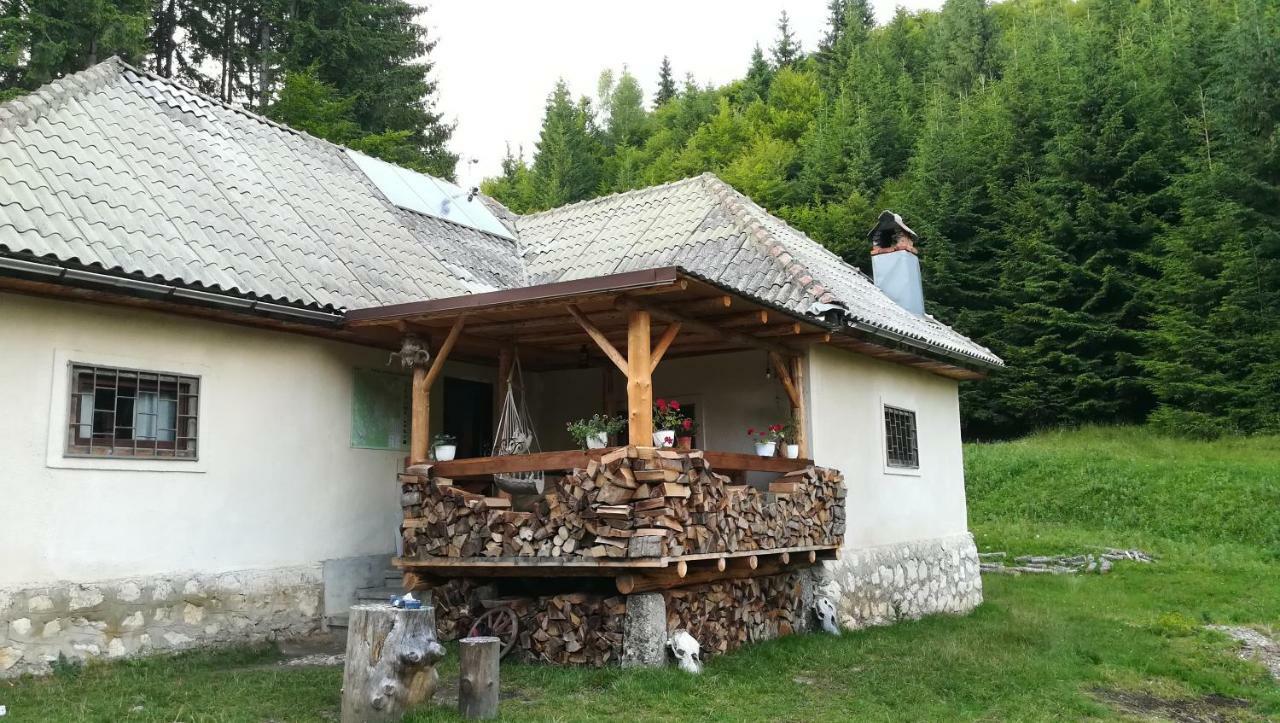 Cabana Pietricica Dîmbovicioara エクステリア 写真
